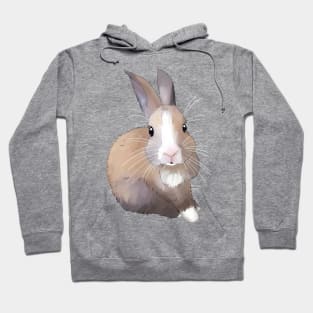 Brown Baby Rabbit _ Bunniesmee Hoodie